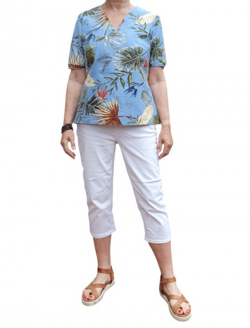 Blouseblauwmodelvoor