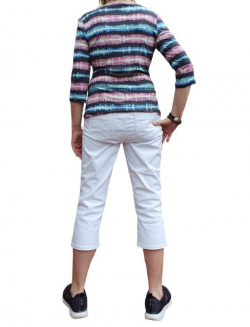 Rozeblauwmodelachter