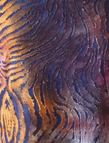 Zebrapaarsokerdetail